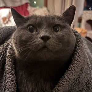 Meet your Posher, Claire